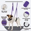Dog Grooming Belly Strap - 3PCS Grooming Restraint Set Adjustable