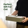 Conlun Cat Scratcher Box with 4 Scratching Pads&2 Separate Cardboard