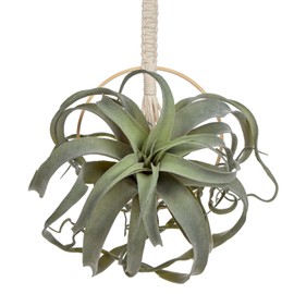 Artificial Air Plants 11 Inch Faux Flocking Tillandsia Real Touch Lifelike Fake Succulents Fall Plants for Home Garden Office Indoor Outdoor Decor