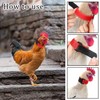 TVSVKWE 8 Pieces Rooster Collar, Adjustable Collar, Poultry Supplies, Anti-Rooster