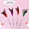 MCT PETS Interactive Spring Feather Cat Wand Toy – Bell