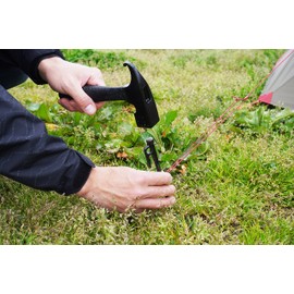 Kakuri Sangyo Short Peg Hammer, Black, Outdoor, Camping, Tent, Pegs Extraction, Approx. Height 7.9 x Width 4.5 inches (200 x 115 mm)