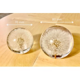 NouvoCrescent Real Dandelion Paperweight - Home Decor Crystal Resin Ball 3.14in (80mm) - Clear Resin Dandelion Flower Globe for Special Days - Sphere Figurine Office Paperweight w/Flat Bottom