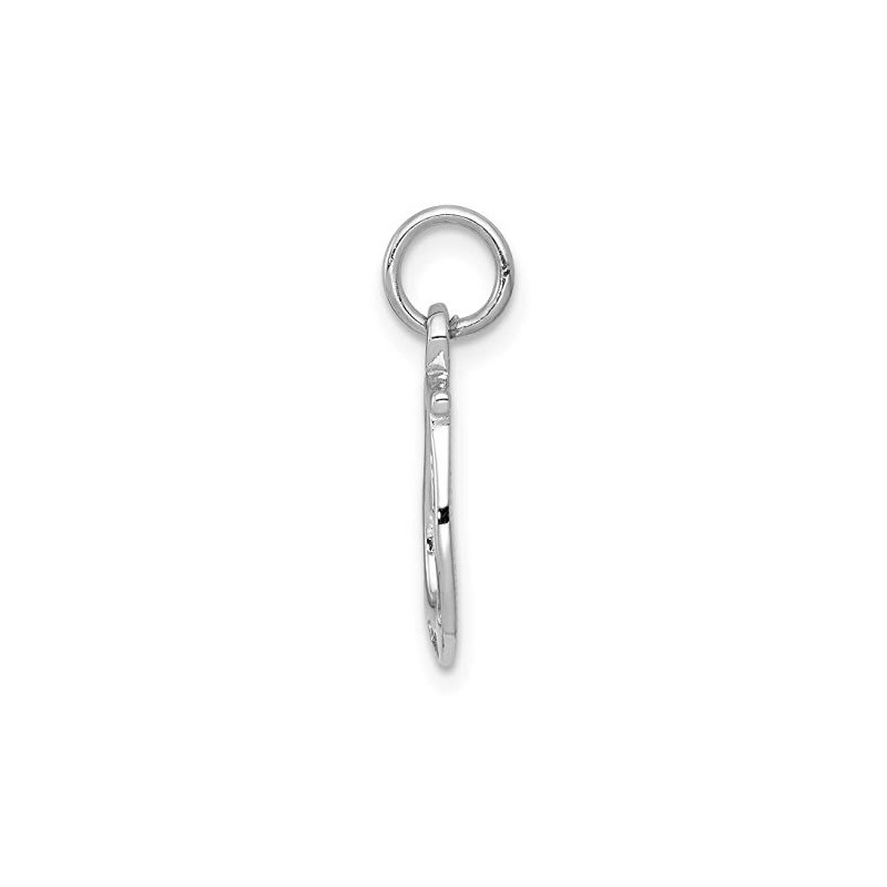 14k White Gold Solid Polished Horseshoe Pendant