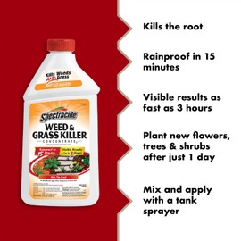 Spectracide Weed & Grass Killer Concentrate, Use On Driveways, Walkways and Around Trees & Flower Beds, 64 fl Ounce (Pack of 2)