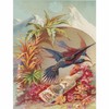 Florida Water Rice Paper, 8 x 10.5 Inch - for