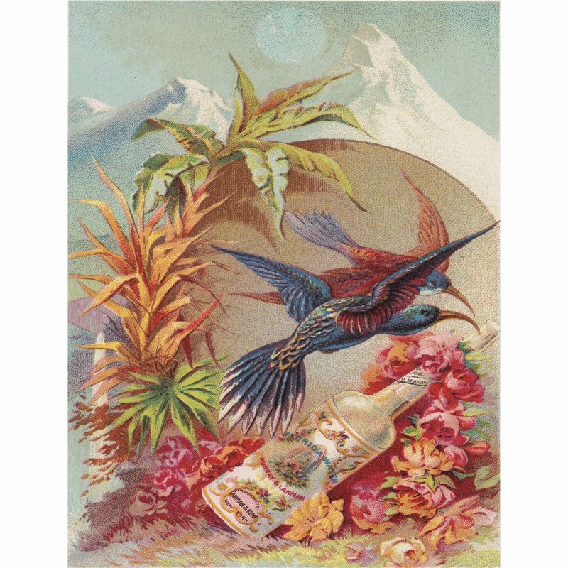 Florida Water Rice Paper, 8 x 10.5 Inch - for