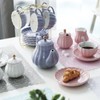 Porcelain Tea Sets British Royal Series, 8 OZ Cups& Saucer