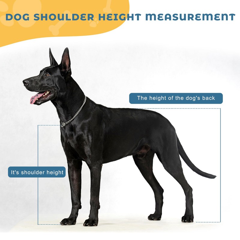 Mezurun Dog Breeding Stand（Multi-Specification） Stainless Steel Dog Breeding Stand，Shoulder height