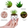 Karlliu 2 Pack Artificial Plants Small Cute Succulents in Ceramic