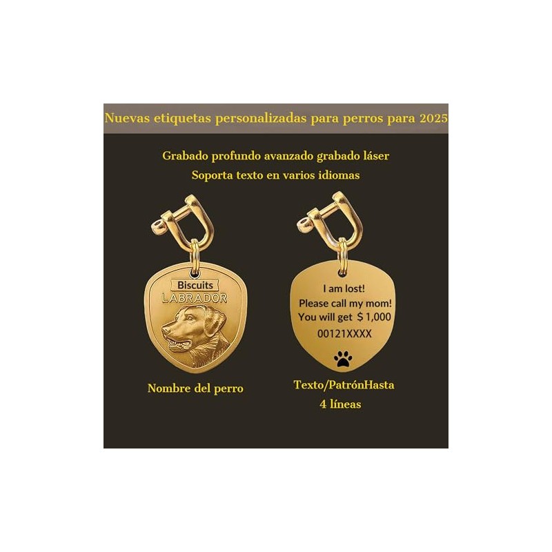 Placa de Identificación Generic