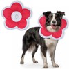 LOVITIANCE Comfortable Adjustable Soft Dog Cone for Small Dogs and
