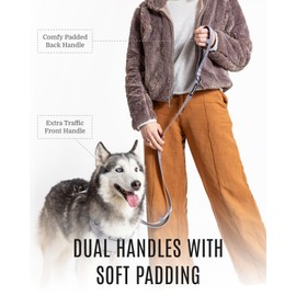 2025 New Edition, Fei & Eve Classic Dog Leash - 6FT, Dual Padded Handles, 360° Swivel Hook, Heavy Duty 210D Nylon - No-Pull Design with Traffic Control Handle - for Small/Medium/Large Dogs, Gray