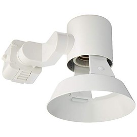 Juno Lighting Group R531 WH Flared Gimbal PAR Trac Track Head, White