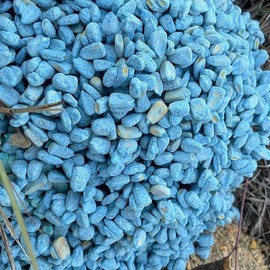 3 pack special 2 green apple strawberry soybean meal and a sugar coated blue raspberry corn attractant