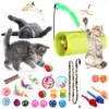 SunGrow Assorted Ferret Toys, for All Ages, 30 Pcs per