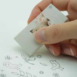 Miradoll Ragdoll Cat Kitten Flowers Eraser Set of 2