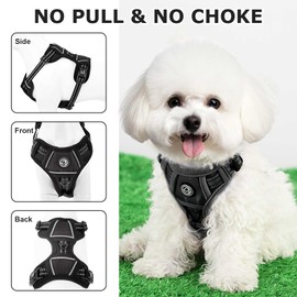 Dog Harness for Small Dog, No Pull Pet Harness with 2 Leash Clips, Adjustable Soft Padded Puppy Vest Harnesses, Reflective No-Choke Pet Oxford Vest (Black, XS)