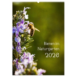 Bienen im Naturgarten (Wandkalender 2026 DIN A2 hoch), CALVENDO Monatskalender