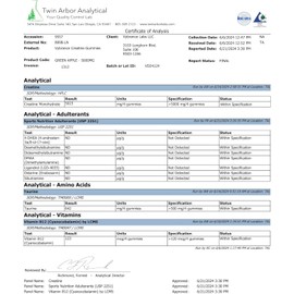 Sour  Green  Apple Creatine Gummies 5 g – Vegan, Sugar‑Free Monohydrate + Taurine & B‑12 for Energy, Focus & Strength | Anti‑Melt Formula | 120 Count