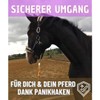 Lead Rope with Panic Hook, for Horses, Ponies, Shetty, Donkey,