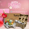 Nacome Solar Garden Outdoor Statues Turtle With Succulent And 7
