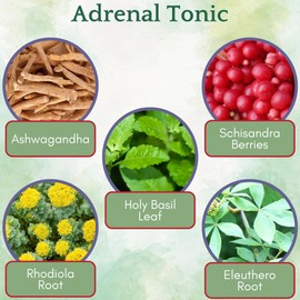 Herb Lore Adrenal Tonic Tincture - USDA Organic Liquid Herbal Adrenal Support Supplement Drops with Ashwagandha, Rhodiola & Eleuthero - Alcohol Free - 2 Fl Oz
