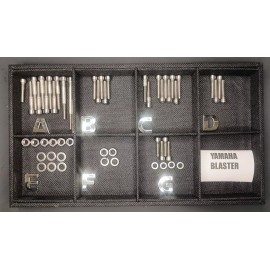 Stainless Cycle YAMAHA BLASTER STAINLESS BOLT SCREW ENGINE kit SET YFS200 POLISHED
