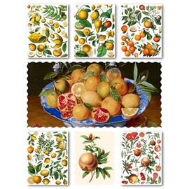 Large Stickers Pack # Orange Lemon Citrus Pomegranate Fruits Antique Botannical Book Engraving Illustration HANATABA Vintage Styled Wall Laptop Vinyl Stickers