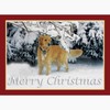 CafePress Golden Retriever Merry Christmas Greeting Cards (P Greeting Card