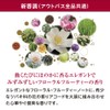 TSUBAKI Damaged Care Water Hair Treatment Refill, Moisturizing Type, 6.8