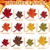 Soaoo 24 Pcs Fall Wooden Table Signs Maple Leaf Wood
