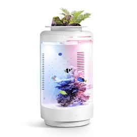 FZONE 1.2Gal Small Fish Tank with Plant Pot, All-in-one Desktop Aquarium Kit with Adjustable 4 Color Light Modes,20dB Filtration Pump,Detachable backdrop,Invisible Touch Switch, Office & Home Decor