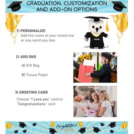 DolliBu Owl Graduation Plush Toy - Super Soft Graduation Stuffed Animal Dress Up with Gown and Cap with Tassel Outfit with Personalization - 8.5 Inches