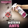 NatureStop Ant Killer Spray for Indoor Use, Fast-Acting Ant Control,