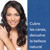 Grecian Lady 5 Shampoo Tinte Cubre Canas, Cabello Maltratado, 3