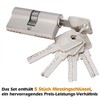 Brass Lock Cylinder 30/30 with 5 Brass Keys, Profile Double