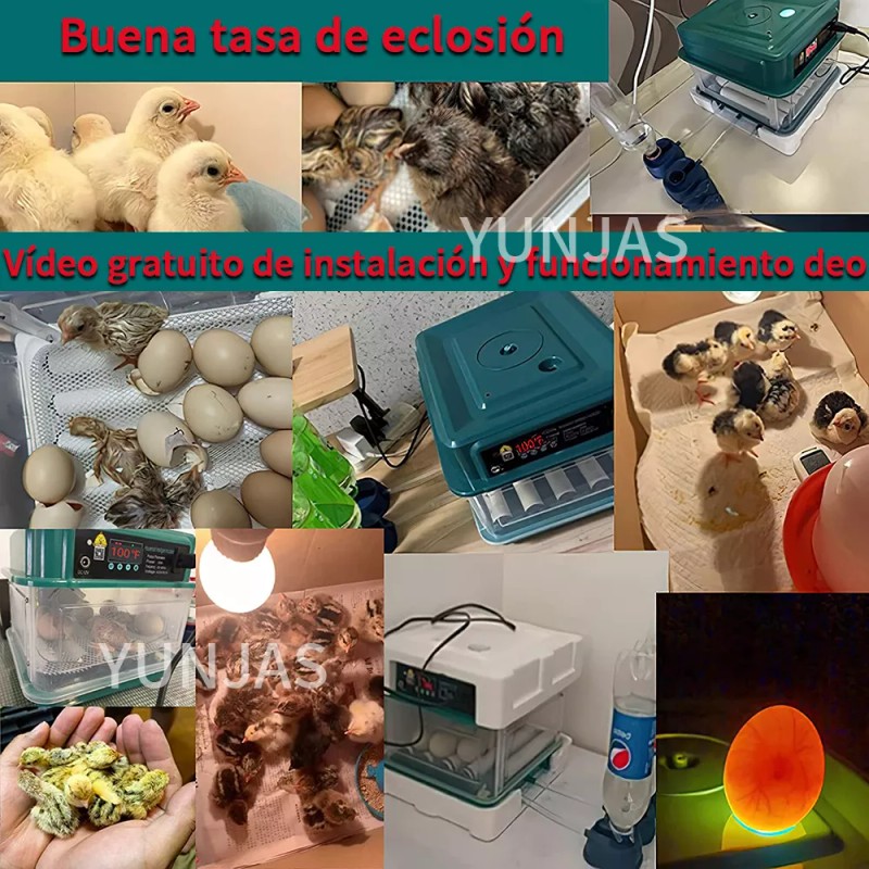 YUNJAS Incubadora para huevos YUNJAS L64 16.3m x 48.5m x