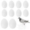 White Fake Eggs Solid Plastic Dummy Pigeon Eggs for Pigeons
