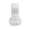 Vegetable Washing Machine Multifunction Wireless USB Charging Auto Capsule Fruit