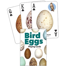 Bird Eggs Playing Cards