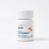 Novelis Nobelis Autopi-G complex extract 60 tablets Quercetin / 노벨리스정