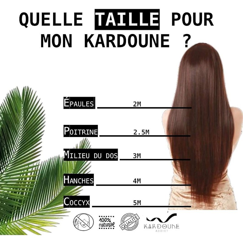 Kardoune from Algeria + Tutorial + Cotton Bag (4 m)