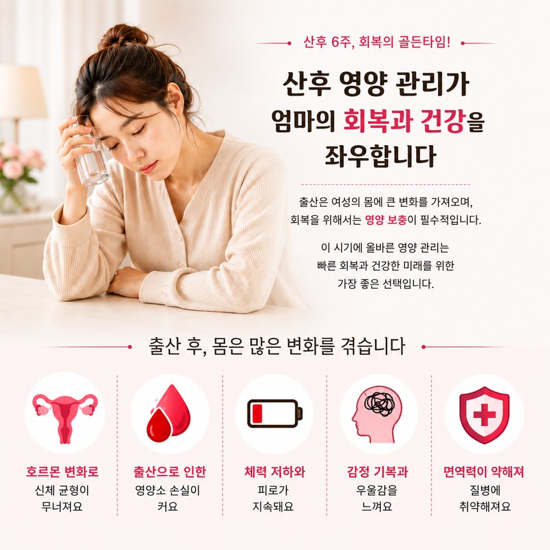 출산후 모유수유 철분엽산비타민D 종합선물 영양제, 90정, 2개 Postpartum Breastfeeding Iron