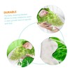 KOMBIUDA Cabbage Wrap Children's Hat Kit Blanket Set for Newborn