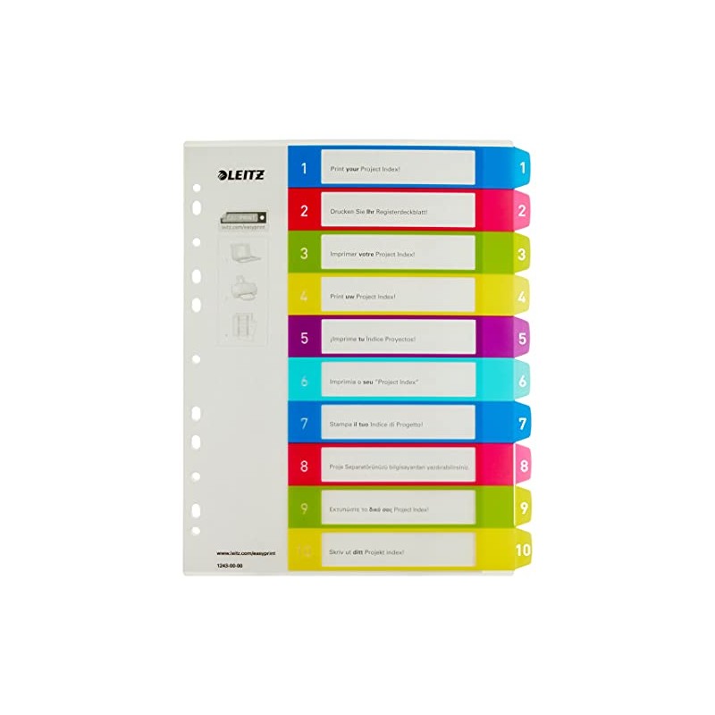 Leitz Index for A4, PC-writable cover sheet and 10 dividers,