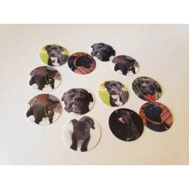 Unbranded Pre Cut One Inch Bottle Cap Images Black Pitbull Pit Bull Dog Free Ship - photo, 25 images
