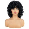 AIDUSA Short Loose Curly Wigs for Black Women Afro Wig