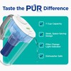 PUR Plus 7-Cup Water Filter Pitcher for Fridge, Cleaner, Great-tasting