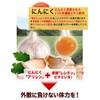 大日ヘルシーフーズ 霊芝にんにくの力 30粒入×3袋 にんにく卵黄 霊芝 高麗人参 マカ 亜鉛 配合 サプリ